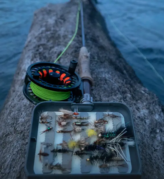 pesca8